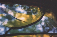 window-5